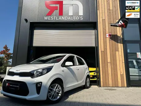 Annonce KIA PICANTO Essence 2023 d'occasion 