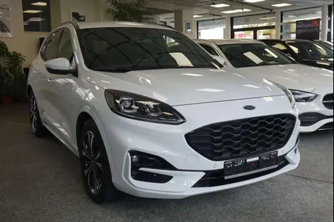 Annonce FORD KUGA Diesel 2020 d'occasion 