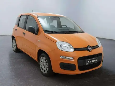 Annonce FIAT PANDA Essence 2019 d'occasion 