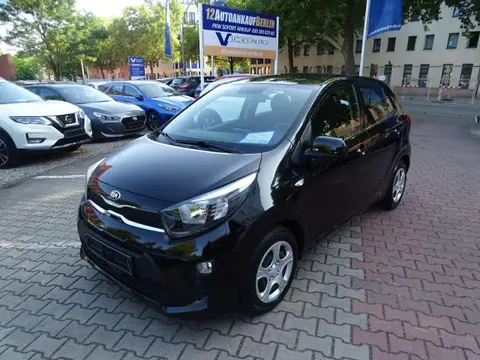 Used KIA PICANTO Petrol 2021 Ad 