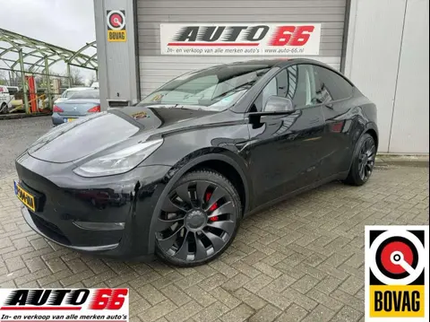 Used TESLA MODEL Y Electric 2022 Ad 