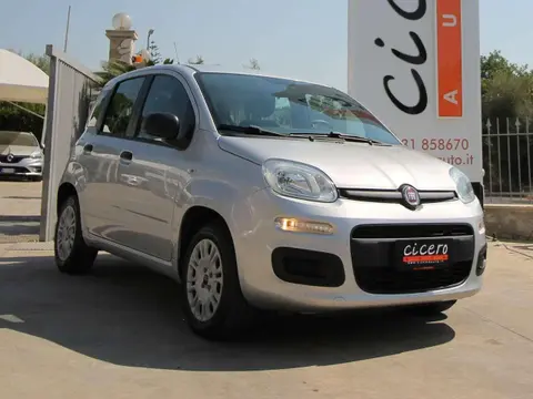 Used FIAT PANDA Petrol 2019 Ad 