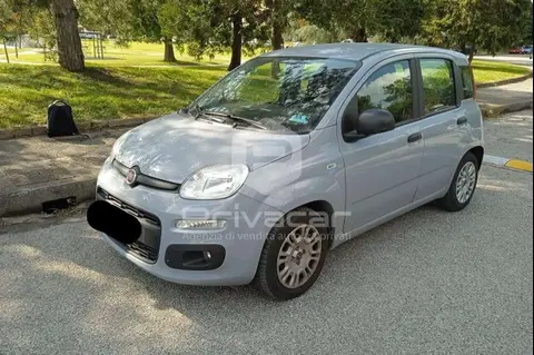 Annonce FIAT PANDA Hybride 2022 d'occasion 