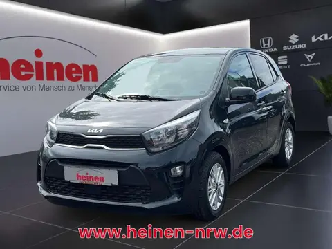 Annonce KIA PICANTO Essence 2024 d'occasion 