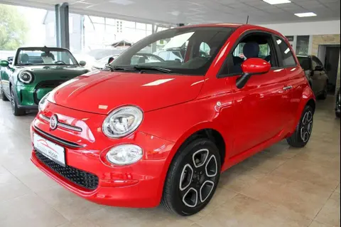 Used FIAT 500 Petrol 2023 Ad 