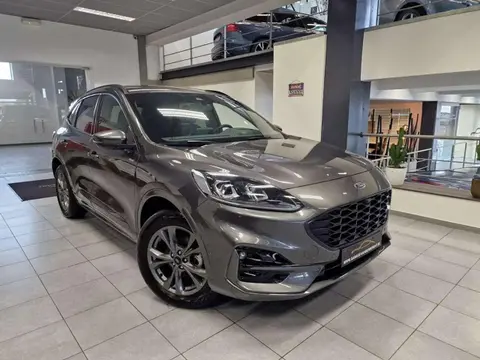 Annonce FORD KUGA Hybride 2024 d'occasion 