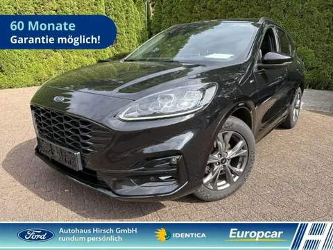 Annonce FORD KUGA Diesel 2020 d'occasion 