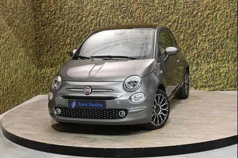 Used FIAT 500 Petrol 2022 Ad 