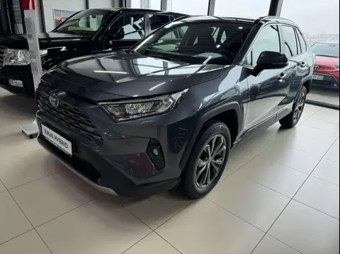 Used TOYOTA RAV4 Hybrid 2024 Ad 