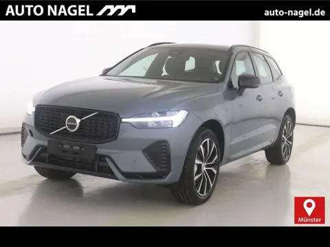 Used VOLVO XC60 Petrol 2024 Ad 