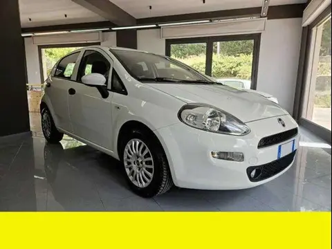 Annonce FIAT PUNTO Diesel 2017 d'occasion 