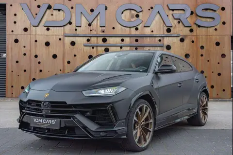 Used LAMBORGHINI URUS Petrol 2023 Ad 