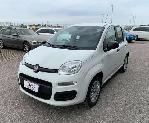 Used FIAT PANDA Petrol 2018 Ad 