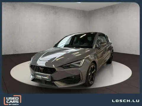 Used CUPRA LEON Petrol 2023 Ad 