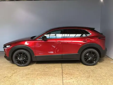 Annonce MAZDA CX-30 Essence 2023 d'occasion 