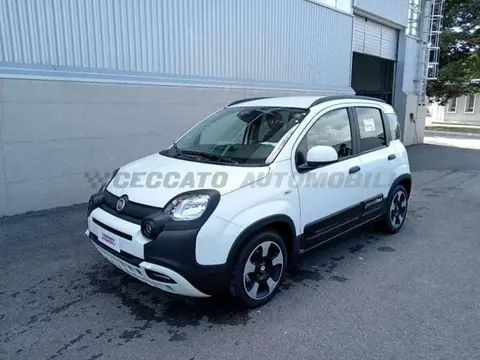 Used FIAT PANDA Hybrid 2024 Ad 