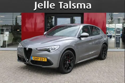 Used ALFA ROMEO STELVIO Petrol 2021 Ad 