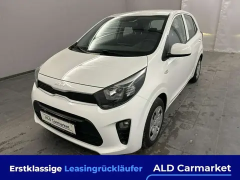 Used KIA PICANTO Petrol 2019 Ad 