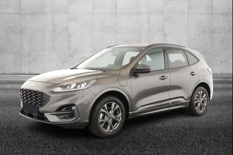 Annonce FORD KUGA Hybride 2022 d'occasion 