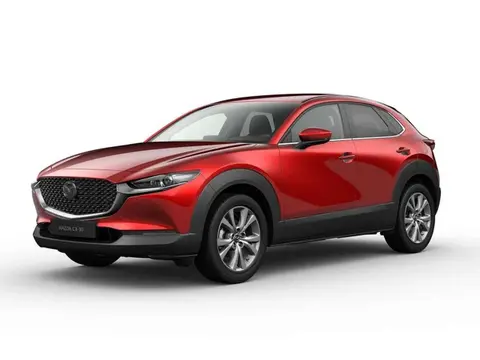 Annonce MAZDA CX-30 Hybride 2024 d'occasion 