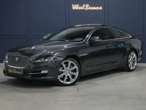 Used JAGUAR XJ Diesel 2018 Ad 