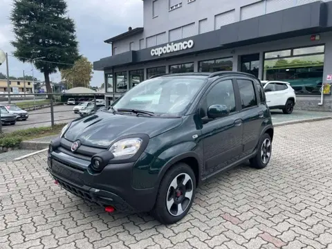 Annonce FIAT PANDA Hybride 2024 d'occasion 