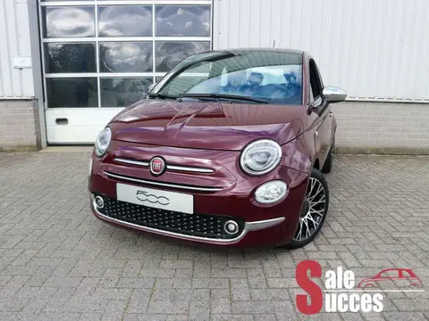 Used FIAT 500 Petrol 2020 Ad 