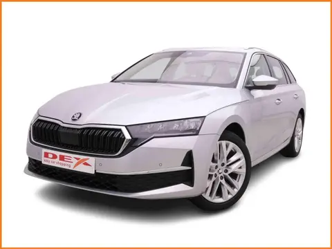 Annonce SKODA OCTAVIA Essence 2024 d'occasion 