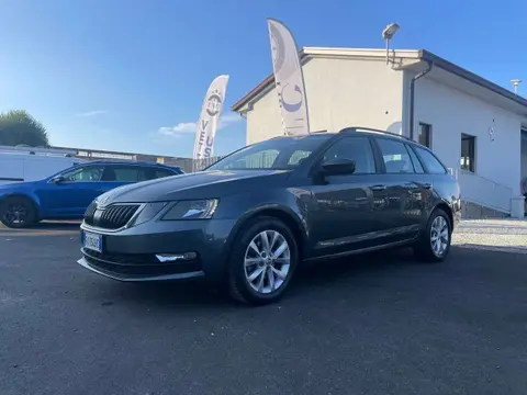 Annonce SKODA OCTAVIA Diesel 2019 d'occasion 