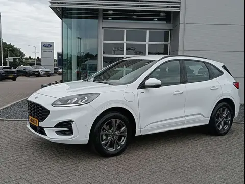 Annonce FORD KUGA Hybride 2023 d'occasion 