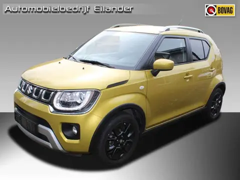 Used SUZUKI IGNIS Petrol 2020 Ad 