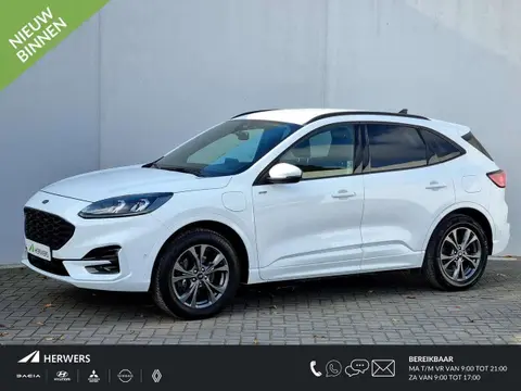 Annonce FORD KUGA Hybride 2021 d'occasion 