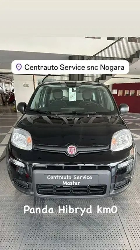 Used FIAT PANDA Hybrid 2024 Ad 