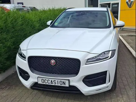 Used JAGUAR F-PACE Diesel 2016 Ad 