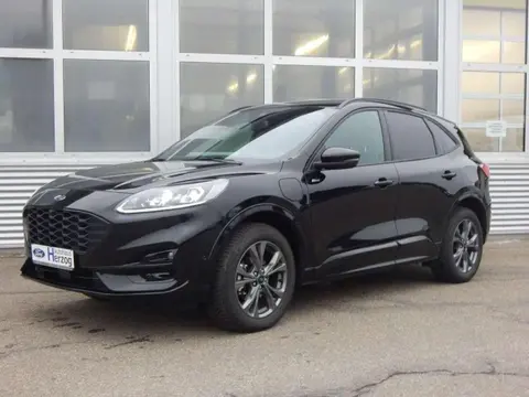 Used FORD KUGA Hybrid 2023 Ad 