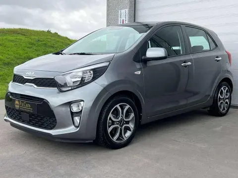 Used KIA PICANTO Petrol 2023 Ad 