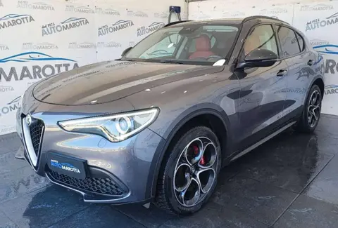 Used ALFA ROMEO STELVIO Diesel 2019 Ad 