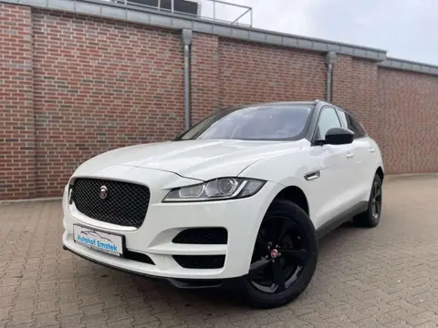 Annonce JAGUAR F-PACE Diesel 2016 d'occasion 