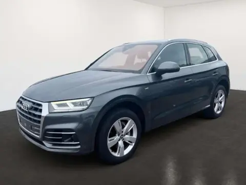 Used AUDI Q5 Diesel 2020 Ad 