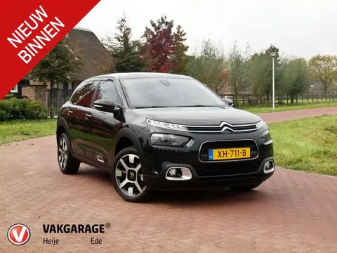 Used CITROEN C4 Petrol 2019 Ad 