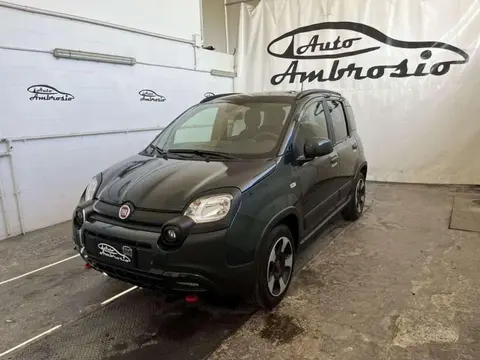 Used FIAT PANDA Hybrid 2024 Ad 