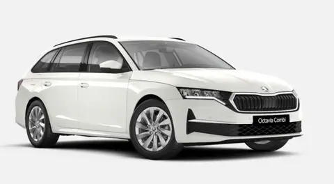 Annonce SKODA OCTAVIA Essence 2024 d'occasion 