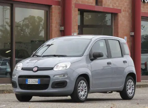 Annonce FIAT PANDA Hybride 2021 d'occasion 