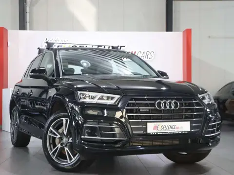 Used AUDI Q5 Hybrid 2021 Ad 