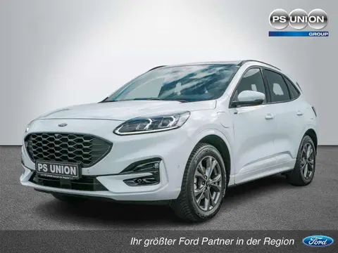 Used FORD KUGA Hybrid 2022 Ad 