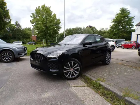 Used JAGUAR E-PACE Petrol 2019 Ad 