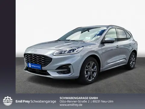 Annonce FORD KUGA Diesel 2023 d'occasion 