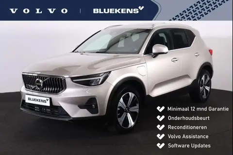 Used VOLVO XC40 Hybrid 2022 Ad 