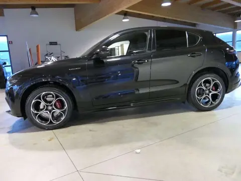 Annonce ALFA ROMEO STELVIO Essence 2023 d'occasion Italie