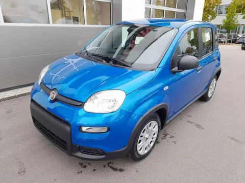 Annonce FIAT PANDA Essence 2024 d'occasion 